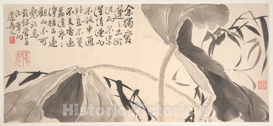 Art Print : Bian Shoumin - Lotus Leaves and Water Reeds - China : Vintage Wall Art