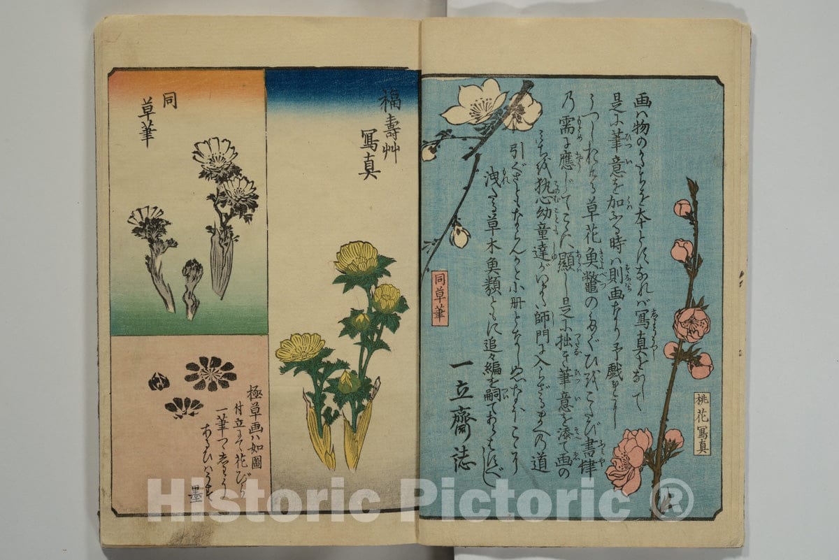 Art Print : Utagawa Hiroshige - Picture Book for The Practice of Fine Art Print -  (Ehon tebikigusa) - Japan : Vintage Wall Art