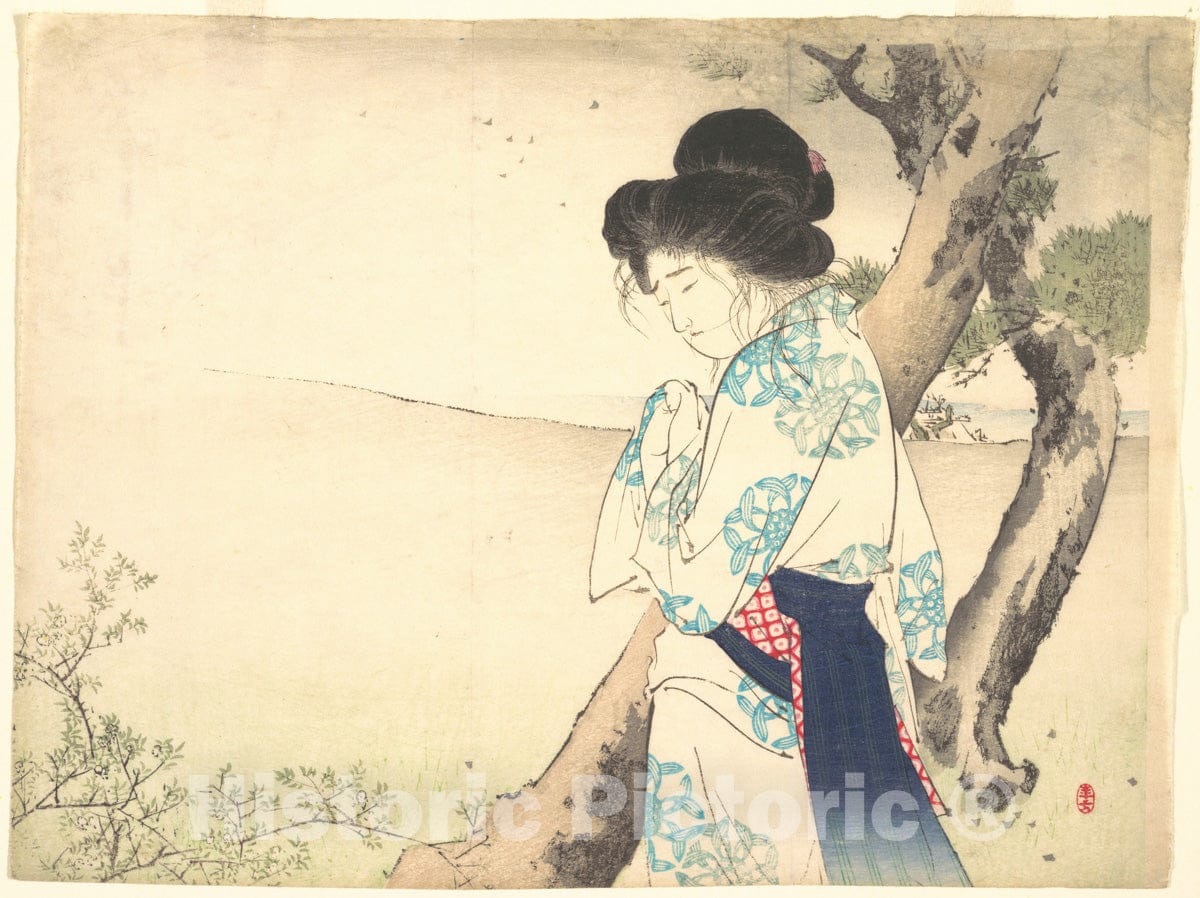 Art Print : Mizuno Toshikata - The Mad Woman of Yawata (Yawata no ky?jo) from kuchie (Frontispiece) of a Novel - Japan : Vintage Wall Art