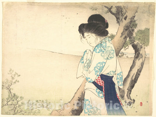 Art Print : Mizuno Toshikata - The Mad Woman of Yawata (Yawata no ky?jo) from kuchie (Frontispiece) of a Novel - Japan : Vintage Wall Art