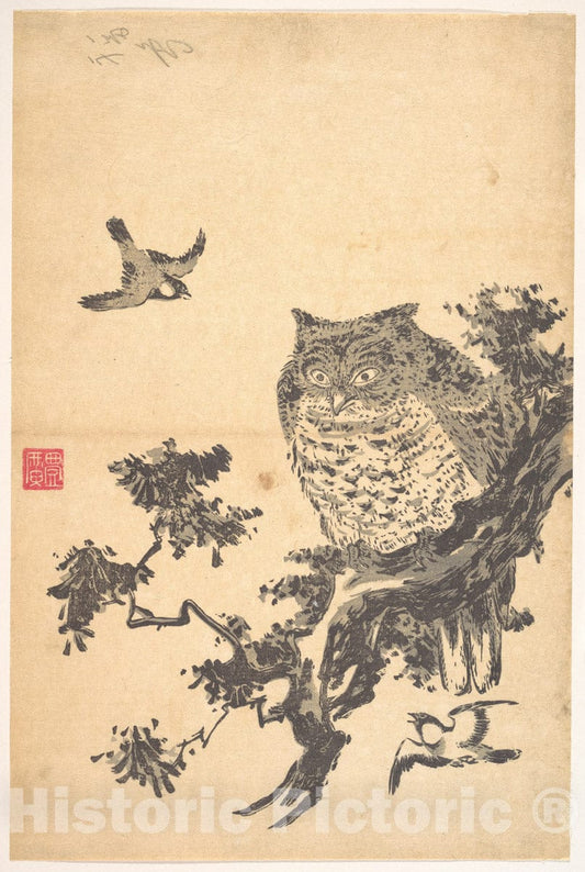 Art Print : Utagawa Toyohiro - Owl and Two Swallows - Japan : Vintage Wall Art