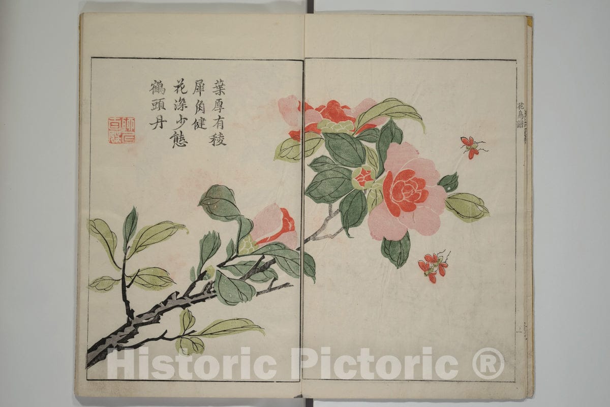 Art Print : Wang GAI - The Mustard Seed Garden Painting Manual (Jieziyuan huazhuan