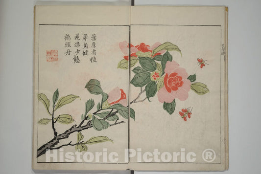 Art Print : Wang GAI - The Mustard Seed Garden Painting Manual (Jieziyuan huazhuan