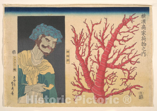 Art Print : Utagawa (Gountei) Sadahide - Stick of Coral and a Portrait of South Sea Islander - Japan : Vintage Wall Art