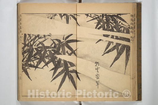Art Print : Kany?sai - Kany?sai Picture Album (Kany?sai gafu) - Japan v.2 : Vintage Wall Art