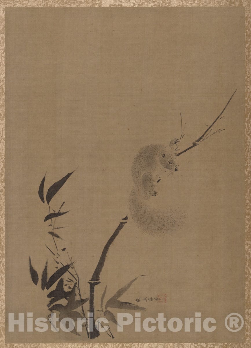 Art Print : Kano Tan'y? - Squirrel on Bamboo - Japan : Vintage Wall Art