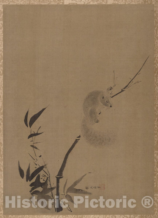 Art Print : Kano Tan'y? - Squirrel on Bamboo - Japan : Vintage Wall Art