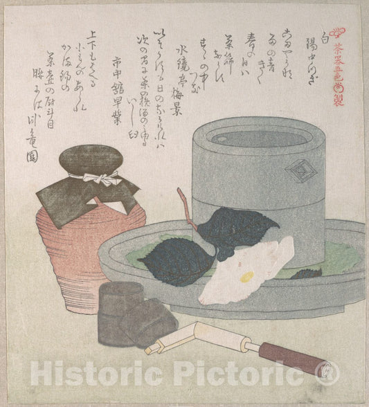 Art Print : Kubo Shunman - White - Japan : Vintage Wall Art