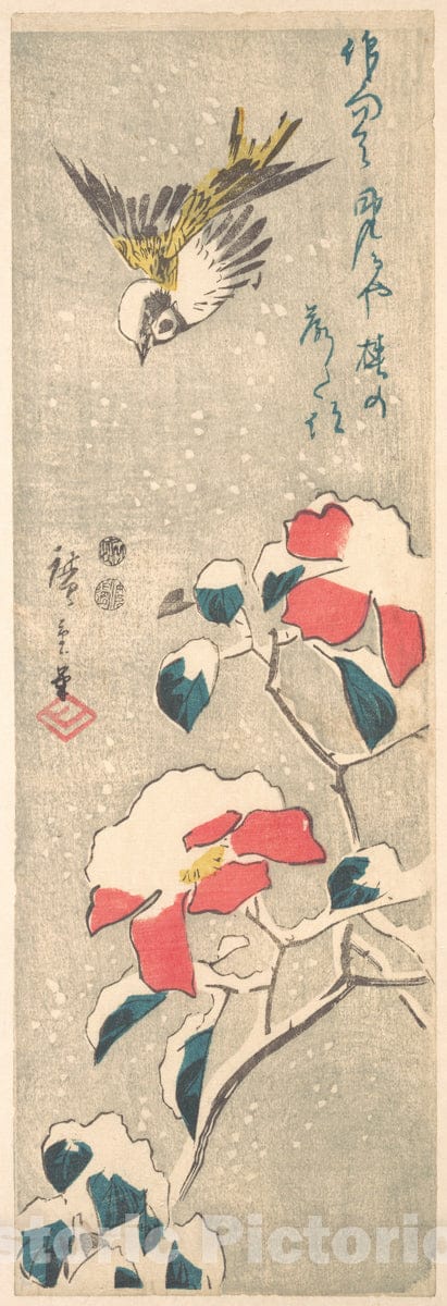 Art Print : Utagawa Hiroshige - Sparrow and Snow-covered Camellia (Tsubaki) : Vintage Wall Art