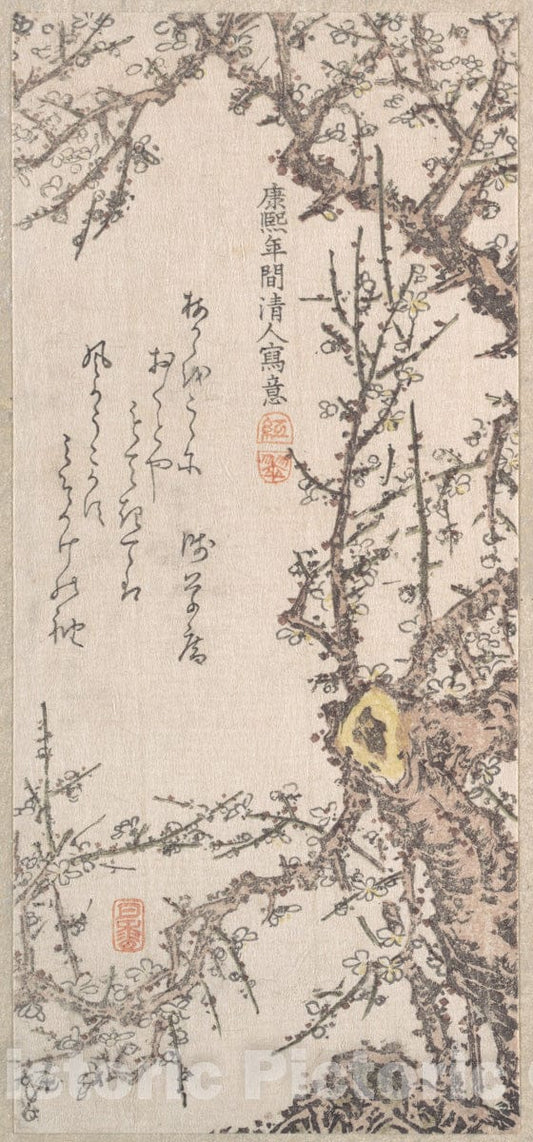 Art Print : Kitao Shigemasa - Plum Tree in Blossom - Japan v.1 : Vintage Wall Art