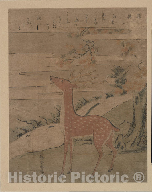 Art Print : Suzuki Harunobu - The Cry of The Stag - Japan : Vintage Wall Art