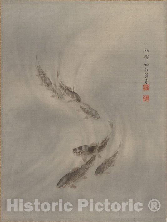 Art Print : Seki Sh?k? - School of Fishes - Japan : Vintage Wall Art