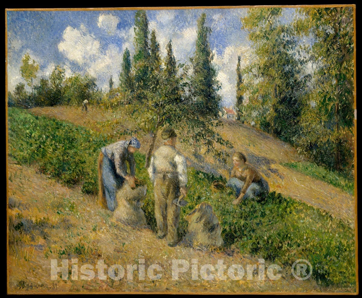 Art Print : Camille Pissarro - The Harvest, Pontoise (La Récolte, Pontoise) : Vintage Wall Art