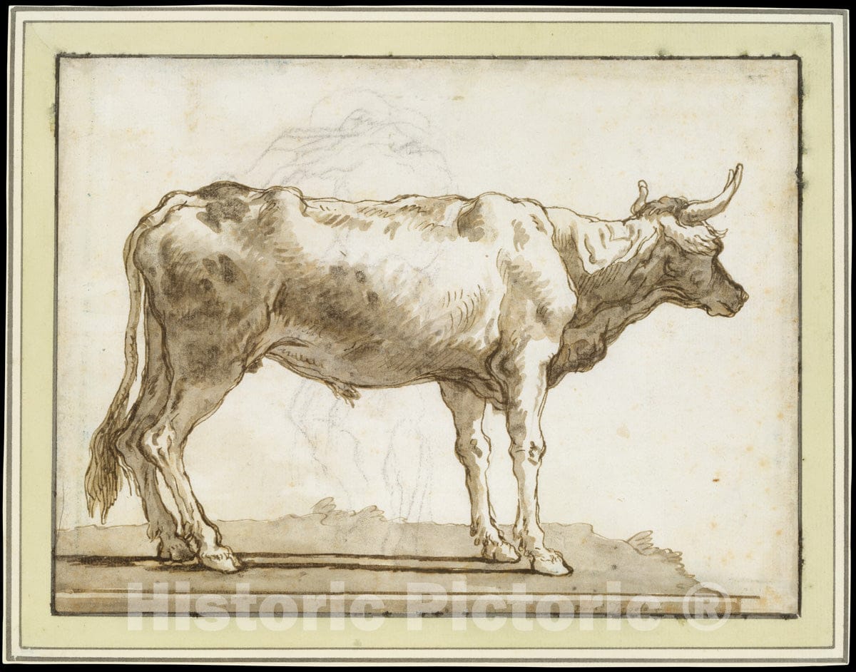 Art Print : Giovanni Domenico Tiepolo - A Bullock Standing to The Right (on a Base) : Vintage Wall Art