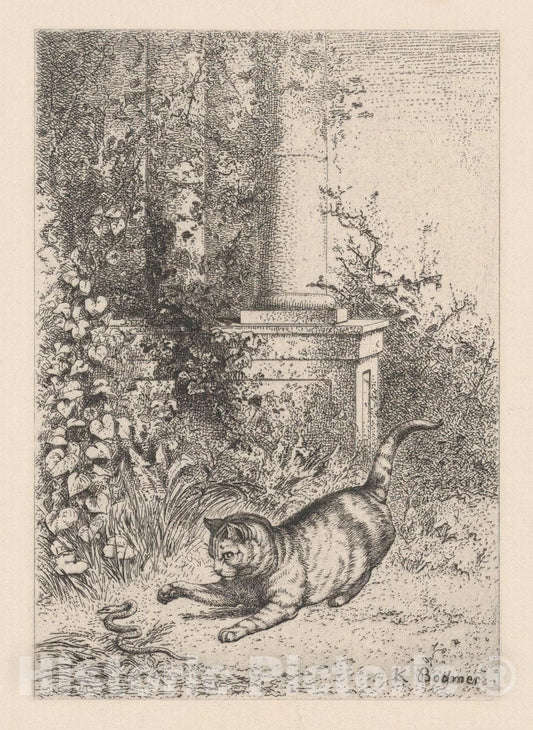 Art Print : Karl Bodmer - A Domestic Cat Playing with a Garter Snake : Vintage Wall Art