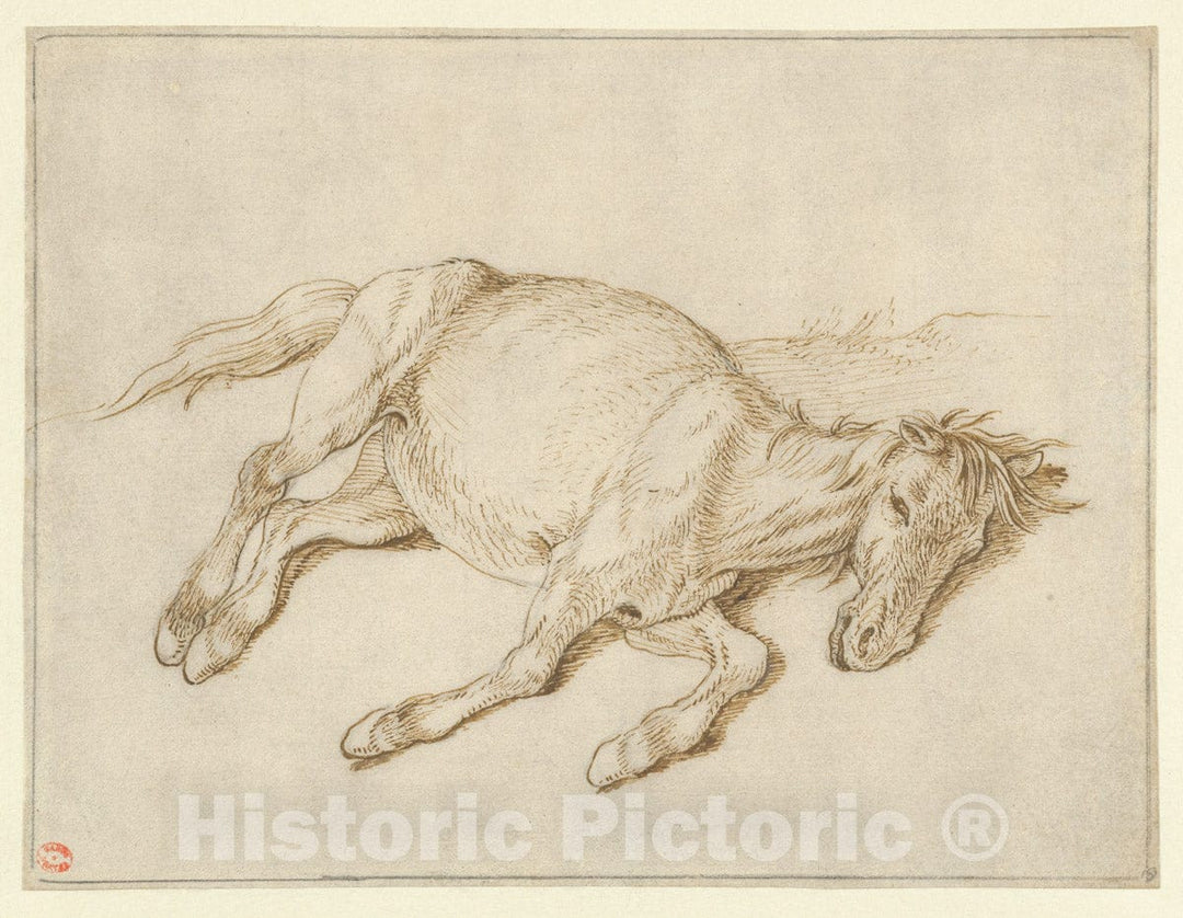 Art Print : Sinibaldo Scorza - A Horse Laying on its Side : Vintage Wall Art