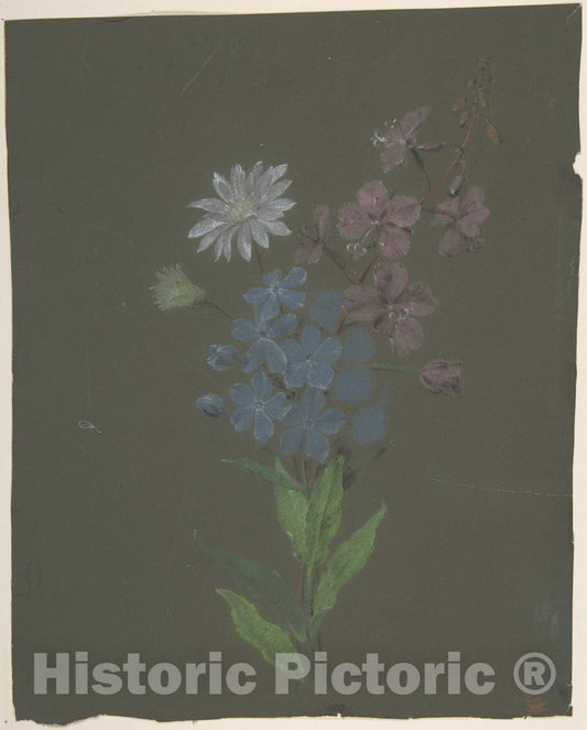 Art Print : Antoine Berjon - Floral Design 2 : Vintage Wall Art
