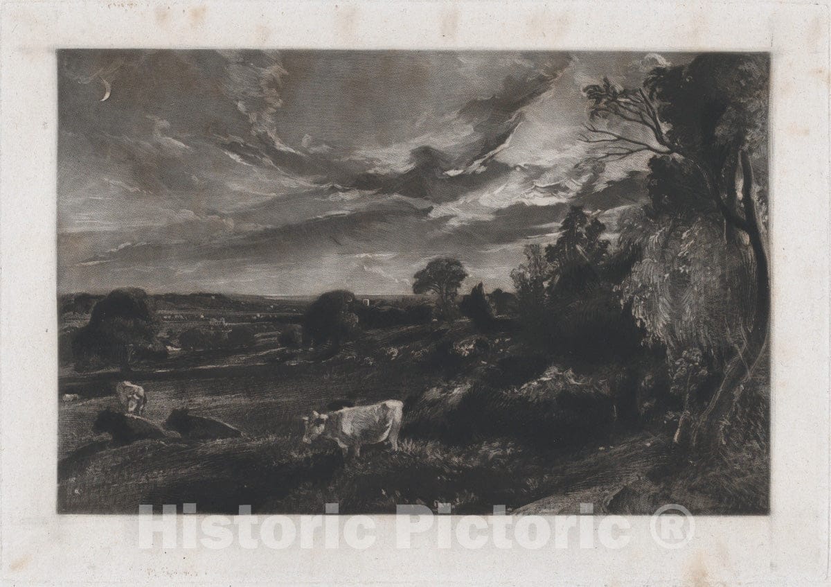 Art Print : David Lucas - Summer Evening - 416733 : Vintage Wall Art