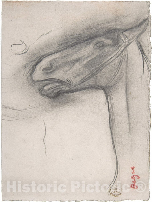 Art Print : Edgar Degas - Head of a Horse : Vintage Wall Art