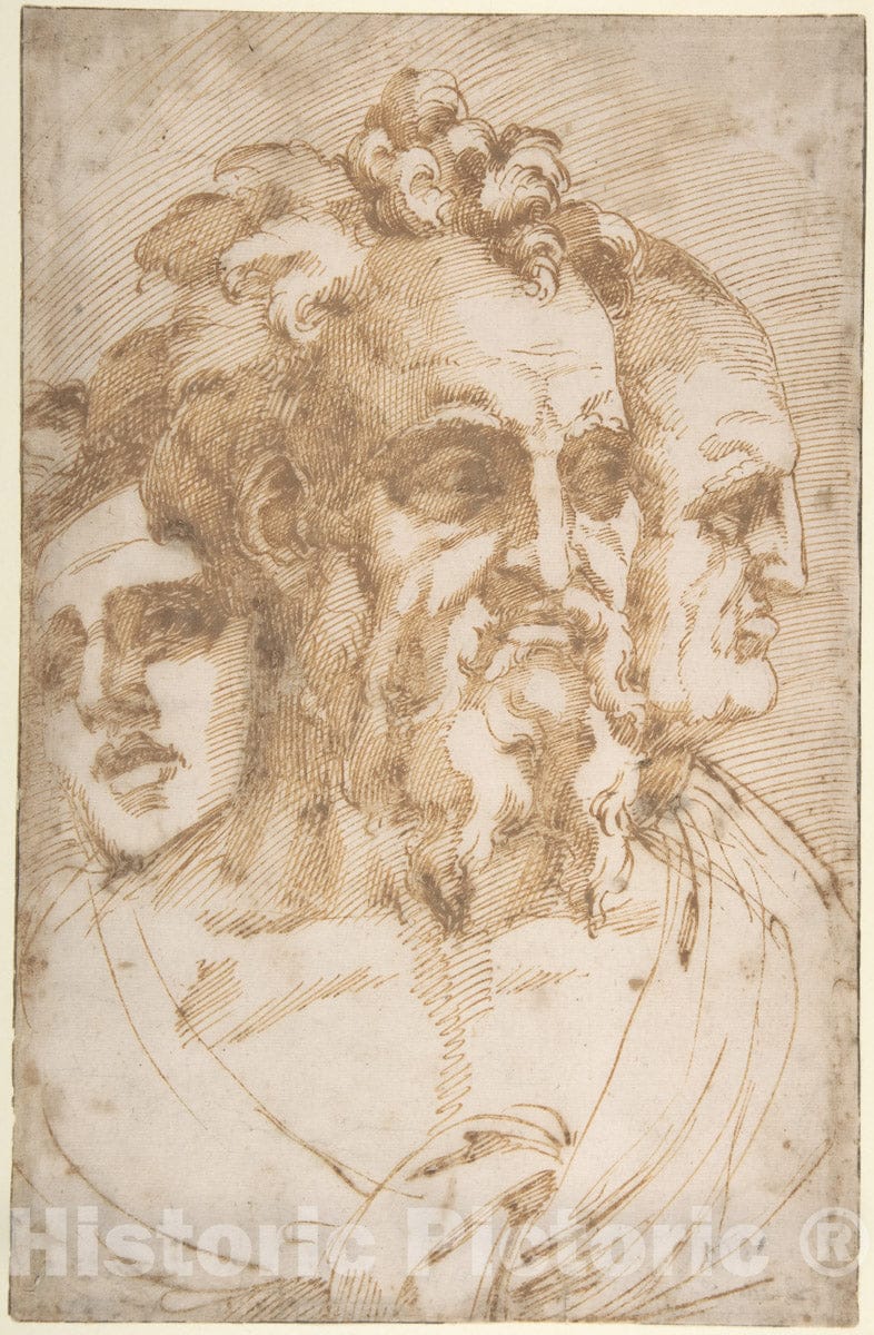 Art Print : Baccio Bandinelli - Three Male Heads : Vintage Wall Art