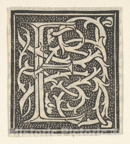 Art Print : Anonymous, Italian, 16th Century - Initial Letter E on Patterned Background 1 : Vintage Wall Art