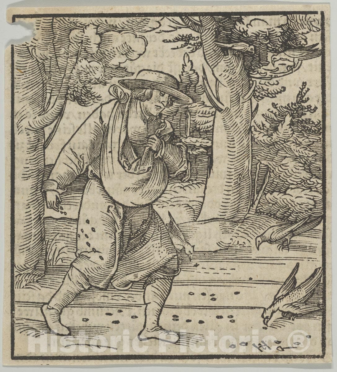 Art Print : Hans Schäufelein - The Birds Eating The Seeds of The Sower, from Hymmelwagen auff dem, wer WOL lebt. : Vintage Wall Art