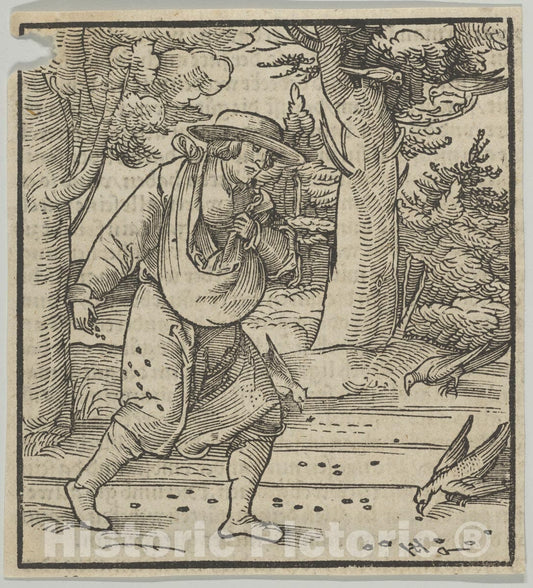 Art Print : Hans Schäufelein - The Birds Eating The Seeds of The Sower, from Hymmelwagen auff dem, wer WOL lebt. : Vintage Wall Art