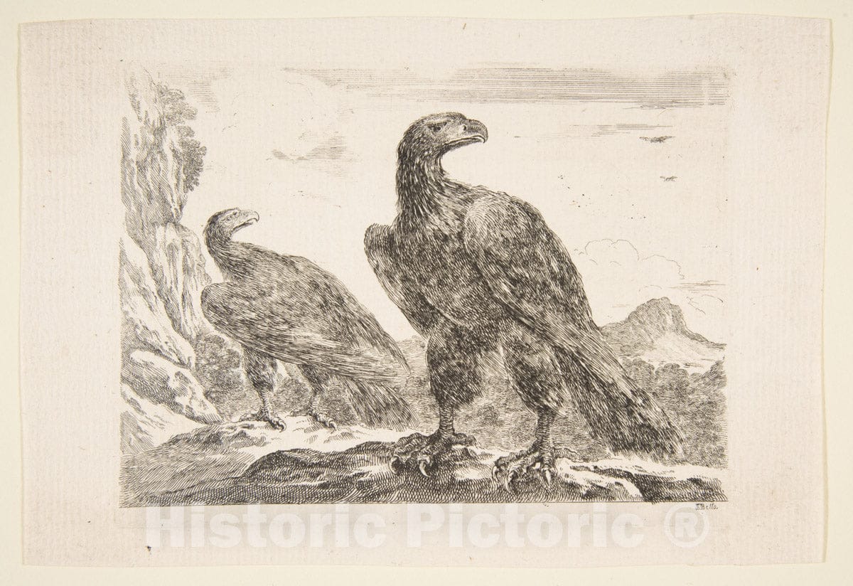 Art Print : Stefano Della Bella - Two Eagles, from 'Eagles' (Les aigles) 2 : Vintage Wall Art