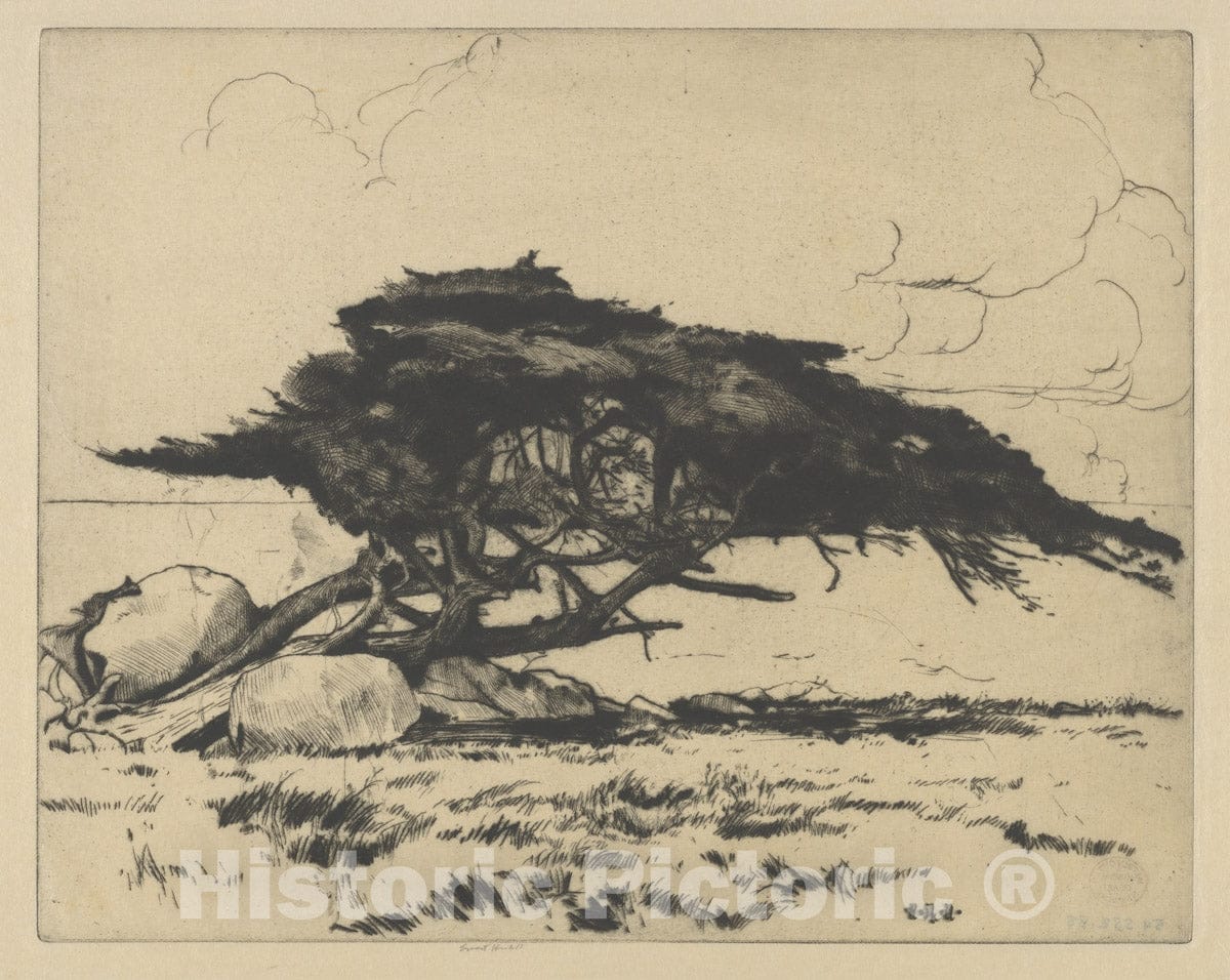 Art Print : Ernest Haskell - Dolphin : Vintage Wall Art