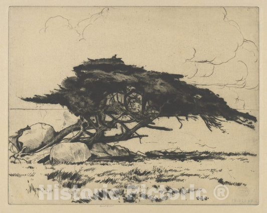 Art Print : Ernest Haskell - Dolphin : Vintage Wall Art