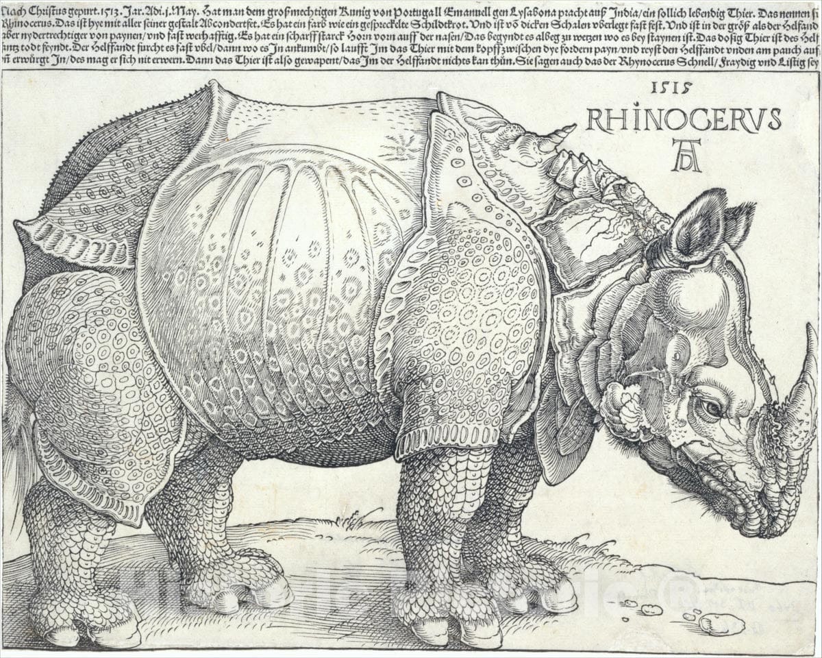 Art Print : Albrecht Dürer - The Rhinoceros 1 : Vintage Wall Art