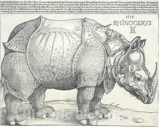 Art Print : Albrecht Dürer - The Rhinoceros 1 : Vintage Wall Art