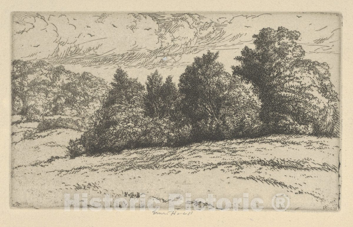 Art Print : Ernest Haskell - Meadow Trees : Vintage Wall Art