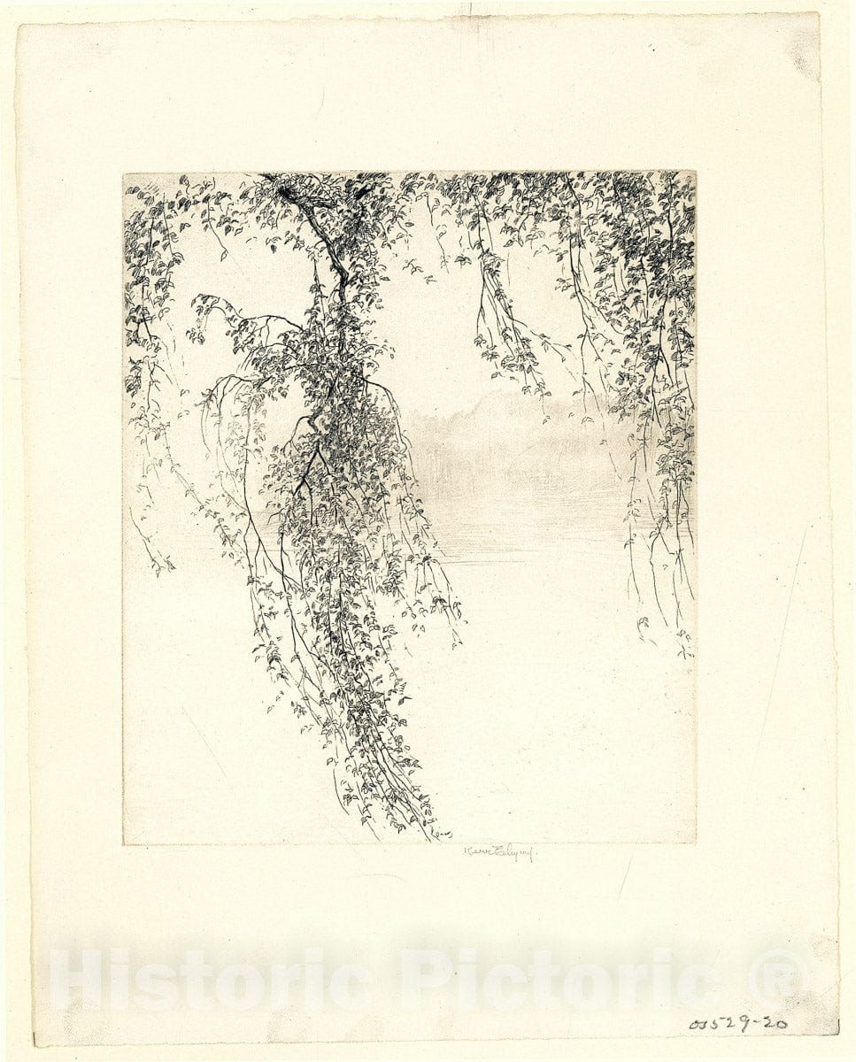 Dragable Image