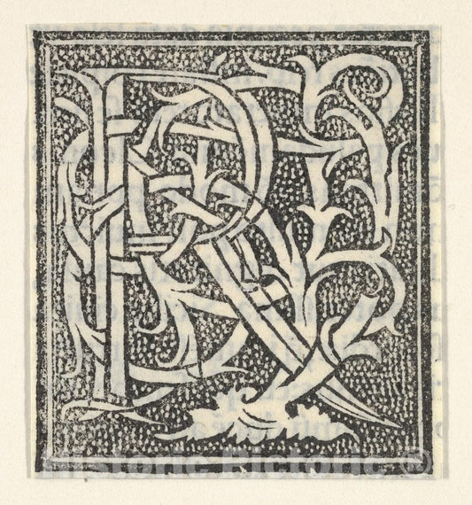 Art Print : Anonymous, Italian, 16th Century - Initial Letter R on Patterned Background : Vintage Wall Art