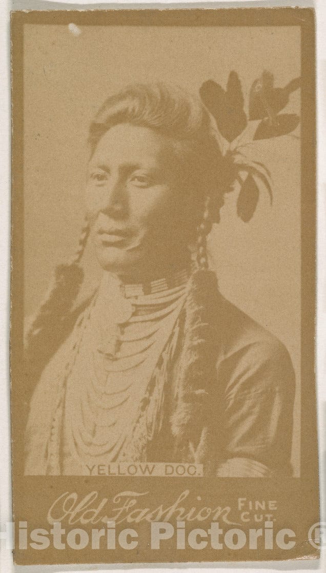 Photo Print : Yellow Dog, from The Indian Chiefs Series (N681) Promoting Old Fashion Fine Cut Tobacco : Vintage Wall Art