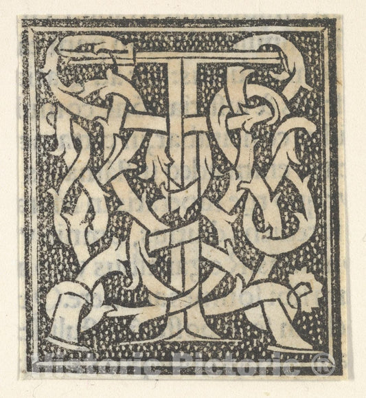 Art Print : Anonymous, Italian, 16th Century - Initial Letter T on Patterned Background : Vintage Wall Art
