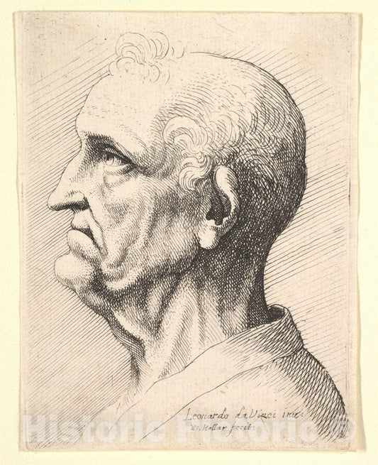 Art Print : Wenceslaus Hollar - Head of an Old Man with Tufts of Curly Hair Around Ear in Profile to Left : Vintage Wall Art
