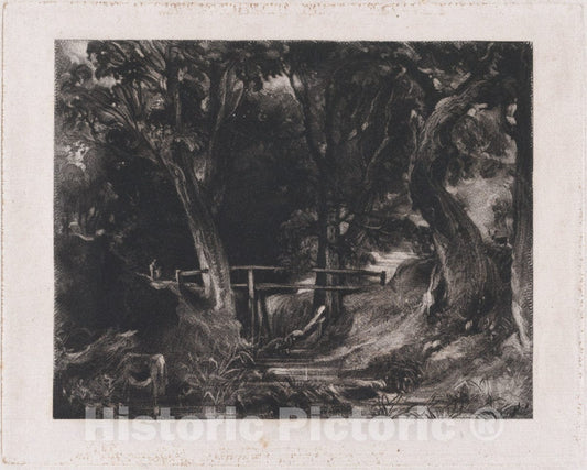 Art Print : David Lucas - A Dell, Helmingham Park, Suffolk 2 : Vintage Wall Art