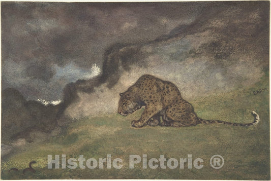 Art Print : Antoine-Louis Barye - Leopard Watching Serpent : Vintage Wall Art
