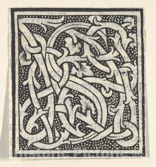 Art Print : Anonymous, Italian, 16th Century - Initial Letter S on Patterned Background : Vintage Wall Art