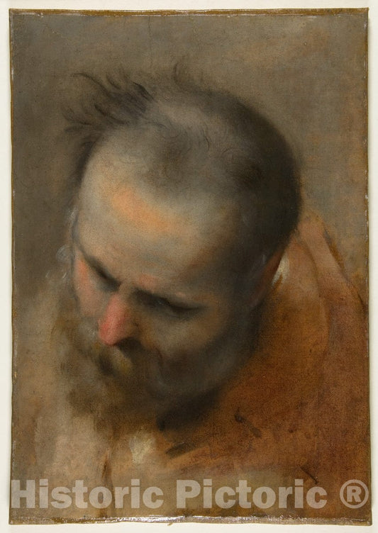 Art Print : Federico Barocci - Head of a Bearded Man Looking to Lower Left (Nicodemus) : Vintage Wall Art