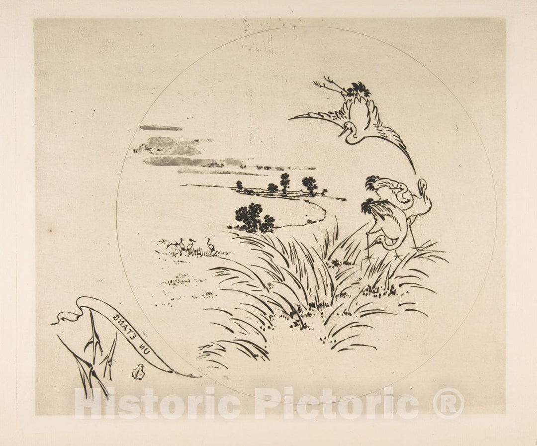 Art Print : Félix Bracquemond - A Pond (Decoration for a Plate) : Vintage Wall Art