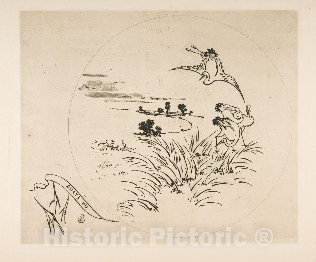 Art Print : Félix Bracquemond - A Pond (Decoration for a Plate) : Vintage Wall Art