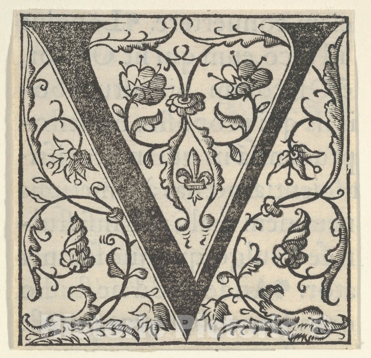 Art Print : Initial Letter V with Garlands : Vintage Wall Art