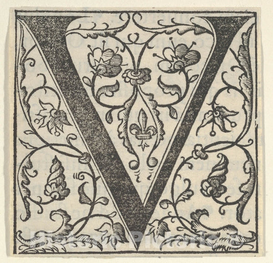 Art Print : Initial Letter V with Garlands : Vintage Wall Art