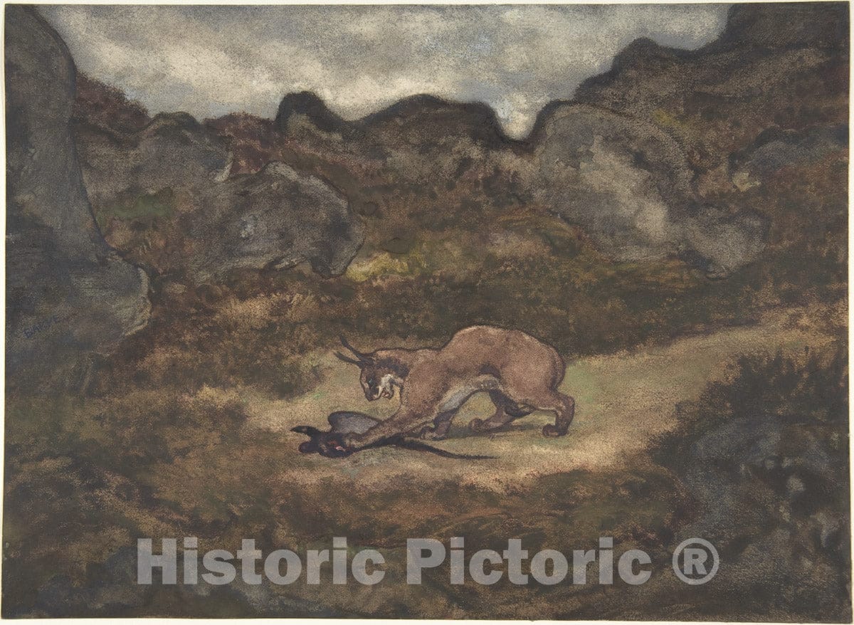 Art Print : Antoine-Louis Barye - Caracal and Pheasant : Vintage Wall Art