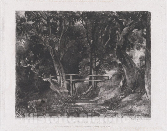 Art Print : David Lucas - A Dell, Helmingham Park, Suffolk 3 : Vintage Wall Art