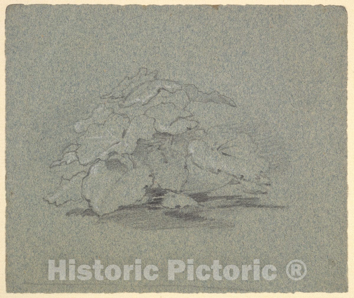 Art Print : George Richmond - Burdock : Vintage Wall Art