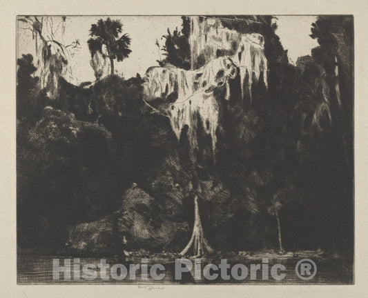 Art Print : Ernest Haskell - Ghost Cypress : Vintage Wall Art